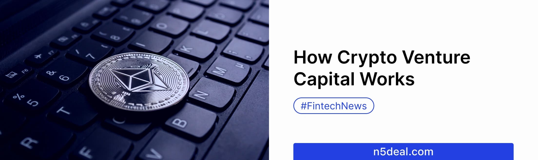 How Does Crypto Capital Venture Work and Its Main Types?